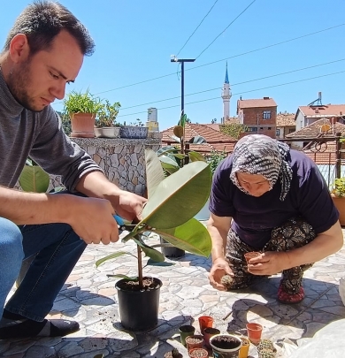 ÜRETEN KIZILCASÖĞÜT , ÜRETEN BELEDİYE 